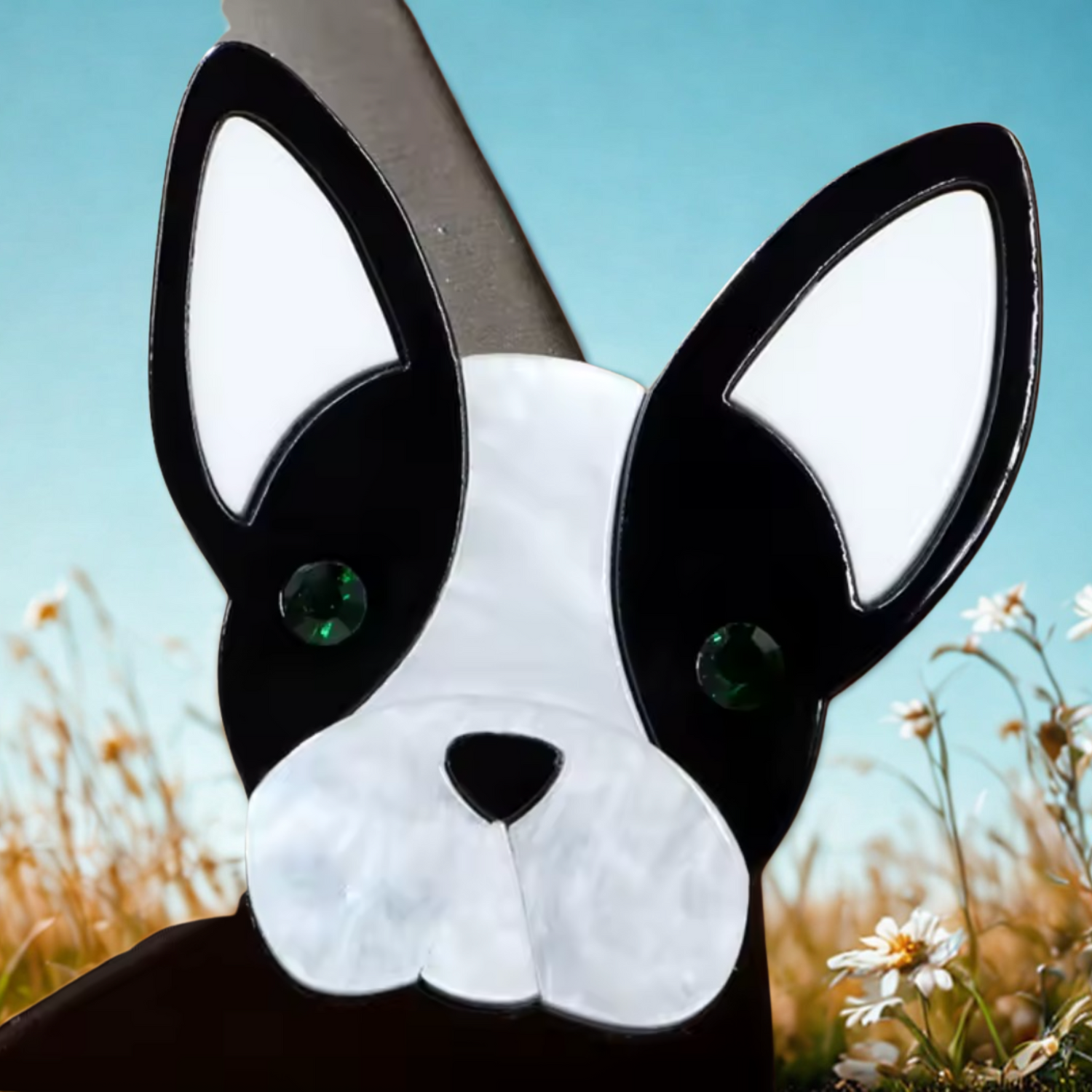 The Pet Set Collection